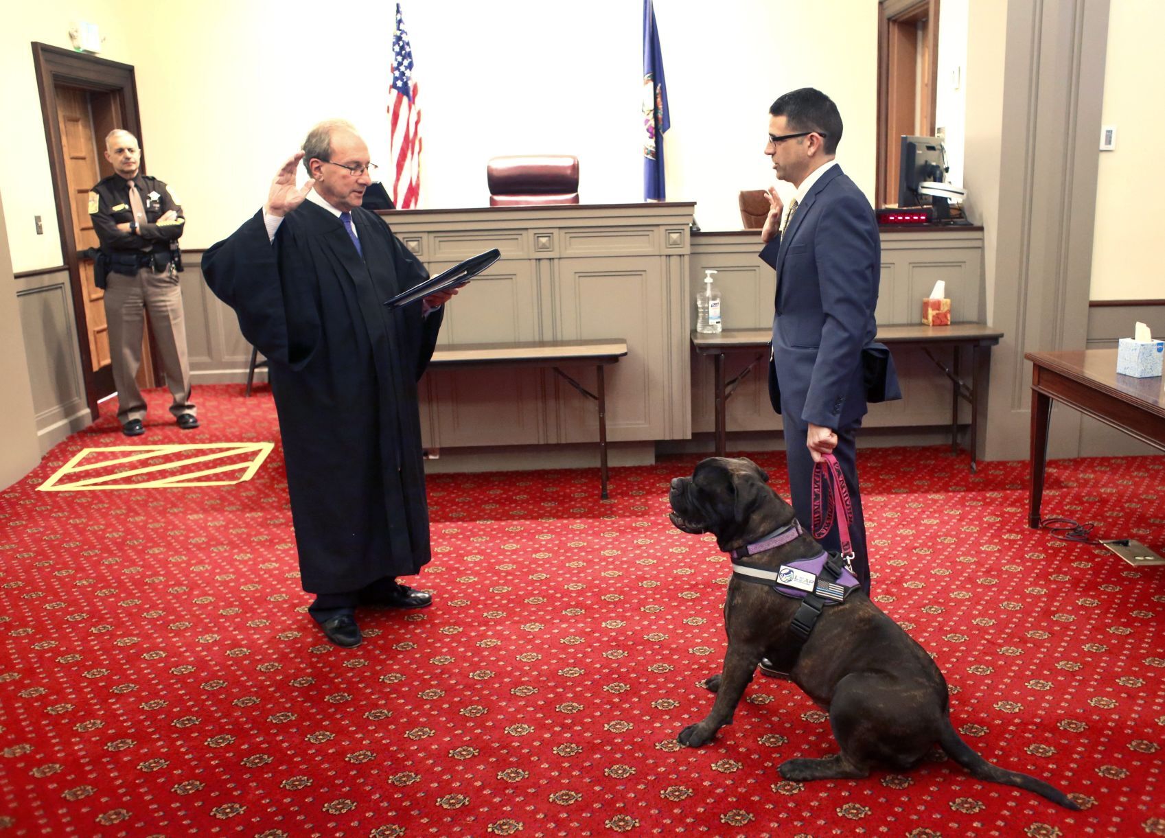 courthouse therapy dog